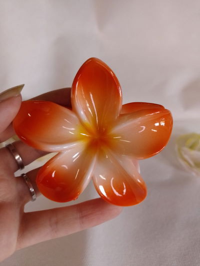 Broche flor Hawaiana