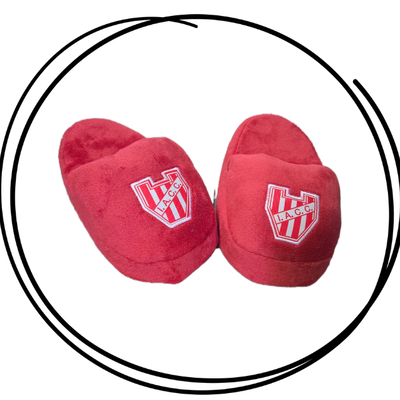 Pantuflon animado premium Instituto de Córdoba
