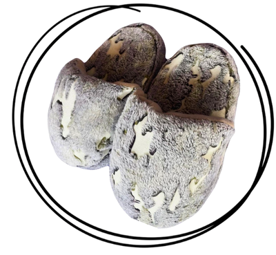 Pantuflon animado premium camuflado luminoso