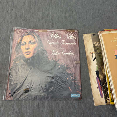 Vinilos música clásica (lote)