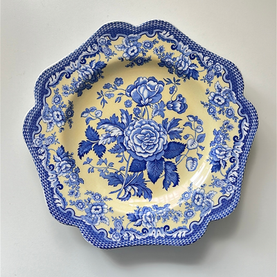 Plato Spode Blue Room Garden Collection 