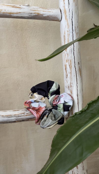 s c r u n c h i e • b o t á n i c o