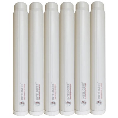 Cartucho resina catiónica pack x 6 | 2,5x20" | Anti sarro