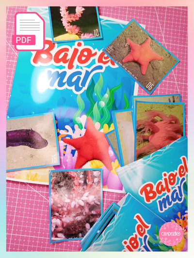 ÁLBUM PDF BAJO EL MAR CONICET
