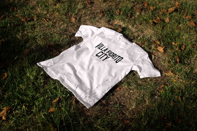 Remera Algodón 24.1 - Estampa Diego Villa Fiorito