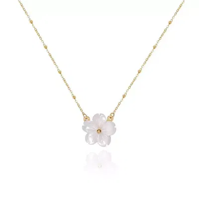 Collar Daisy