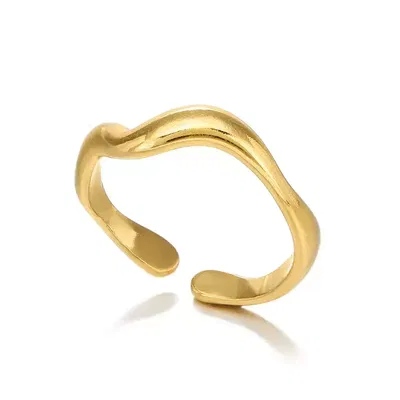 Anillo Waby 