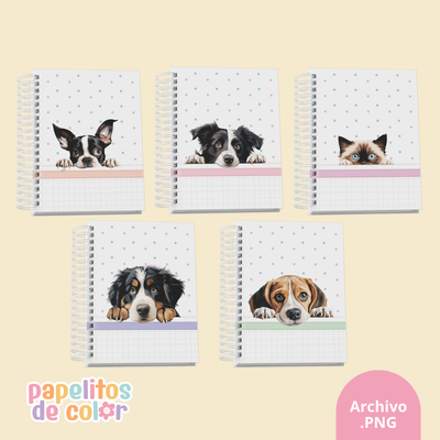 🐾 Pack de 32 Portadas - Kit 26🐶🐱