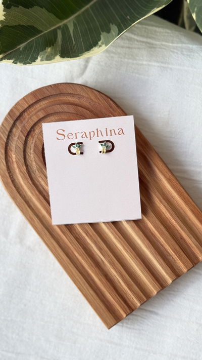 Arito plateado ananá stras 