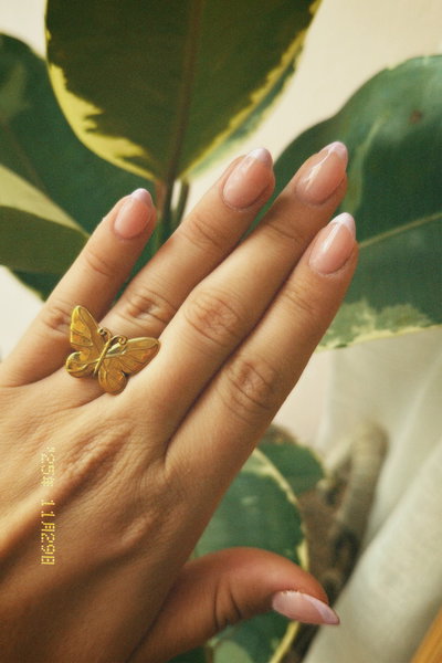Anillo mariposa 