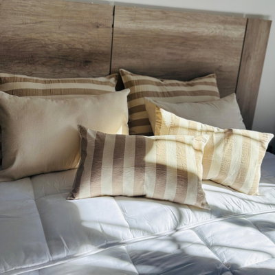 Pack Almohadón Mila  - 60 x 40 - Tusor bastón beige