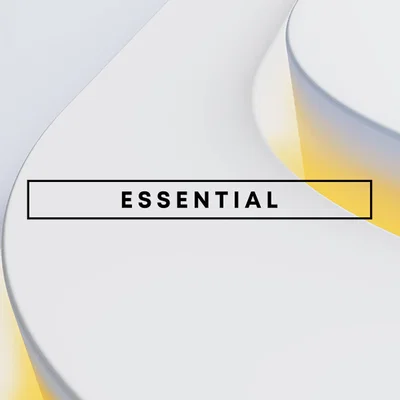 PS PLUS ESSENTIAL