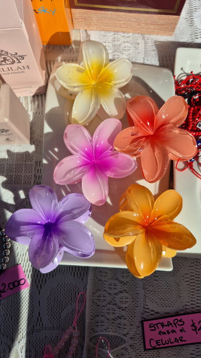 Broche flor hawaiana 🌼 