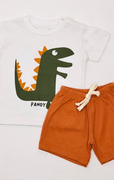 Conjunto bebe dinos waffle - 25813