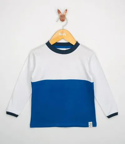 Remera nene combinada - Cod 21120