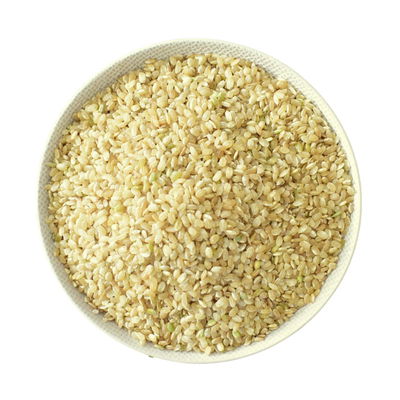 ARROZ YAMANÍ INTEGRAL