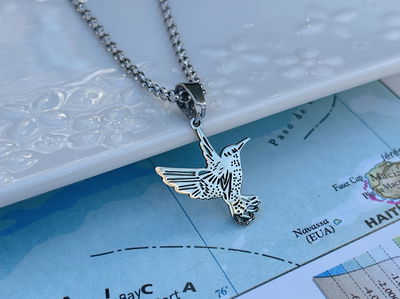 Conjunto colibrí 