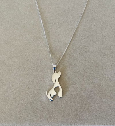 Collar Dachshund