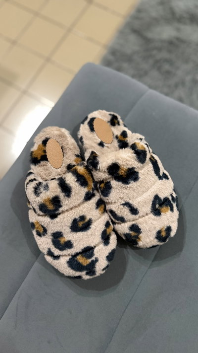 Pantuflas TEDDY print