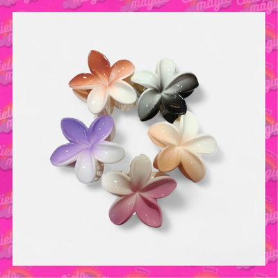 Broche hawai degrade x6