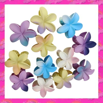 Broche degrade color x6
