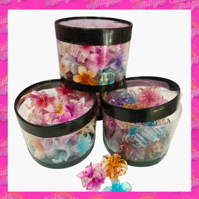 Caramelera x 24 broches Hawai chicos  