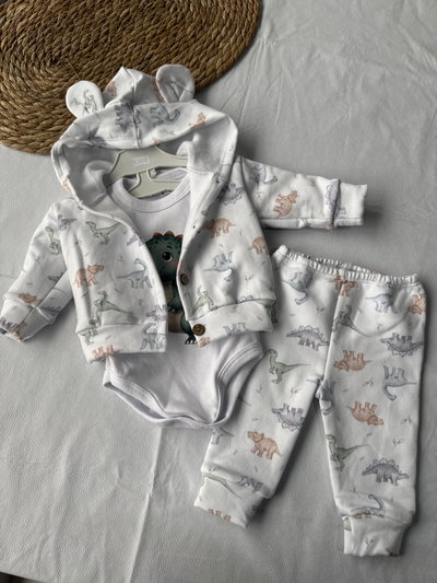 CONJUNTO DINO FRIZADO