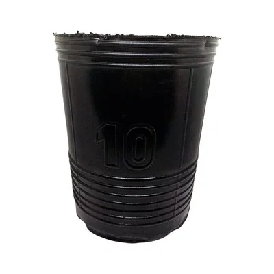 MACETA SOPLADA - 10 LTS