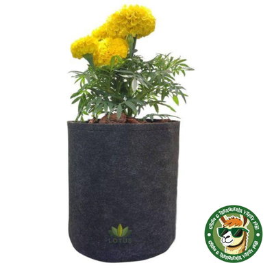 MACETA DE TELA GEOTEXTIL - 5 LITROS