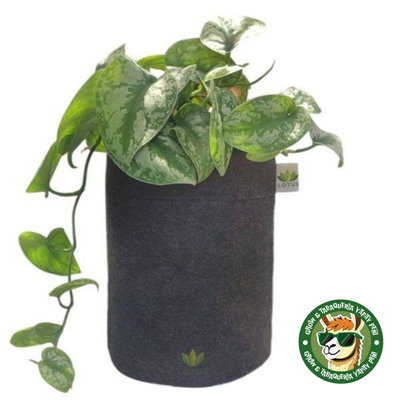 MACETA DE TELA GEOTEXTIL - 10 LITROS
