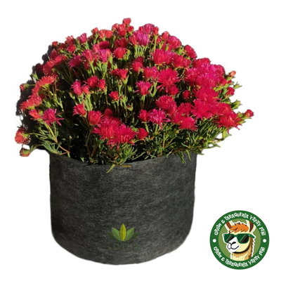 MACETA DE TELA GEOTEXTIL - 40 LITROS