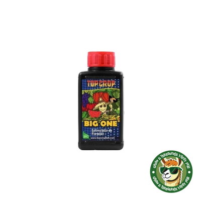 FERTILIZANTE TOP CROP - BIG ONE BIOESTIMULANTE 100 ML