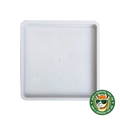 PLATO CUADRADO - 30cm x 30cm