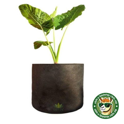 MACETA DE TELA GEOTEXTIL - 80 LITROS