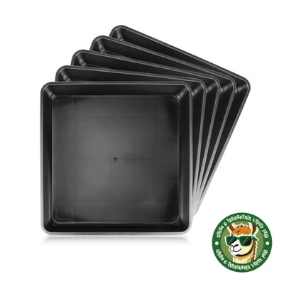 PLATO CUADRADO - 15cm x 15cm
