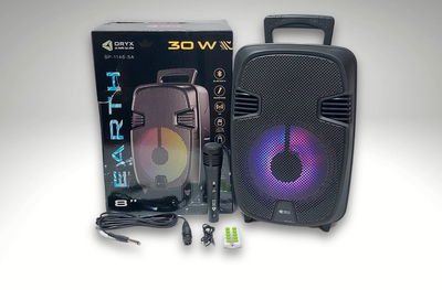 Parlante portatil 8"
