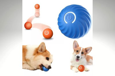 Pelota interoactiva para mascota
