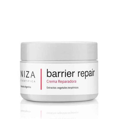 Barrier Repair Niza