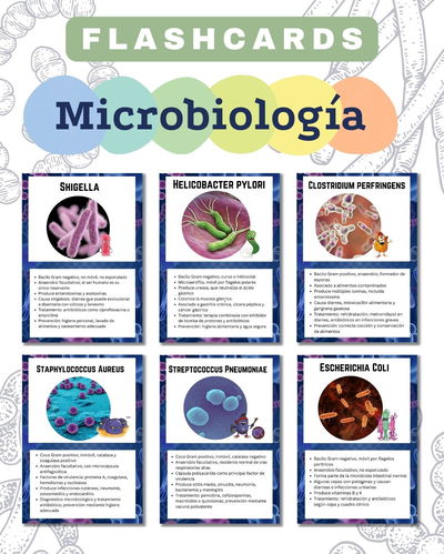 FLASHCARDS DE MICROBIOLOGÍA- Tarjetas de estudio visuales