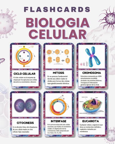 FLASHCARDS DE BIOLOGÍA CELULAR-Tarjetas Visuales