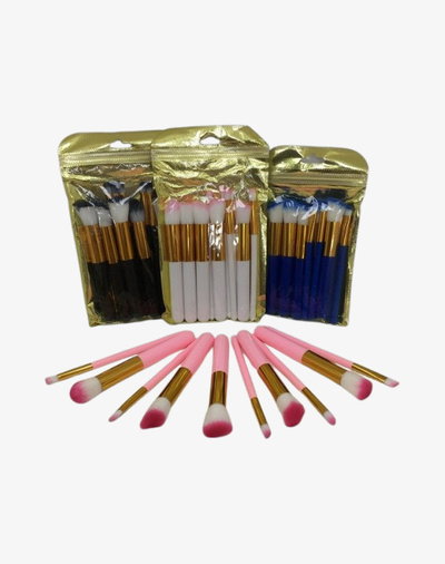 SET DE 10 PINCELCES 