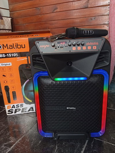 PARLANTE MALIBÚ BASS SPEAKER
