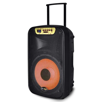 PARLANTE POTENCIADO MOONKI SOUND MS-115B