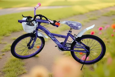 BICICLETA JORDAN R20 LILA C/CANASTO