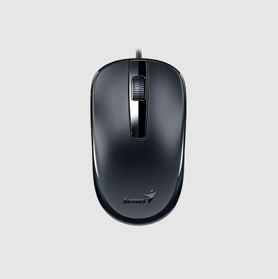 MOUSE GENIUS DX-120 BLACK USB