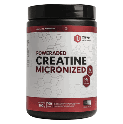 CREATINE MICRONIZED ONE FIT 500GR
