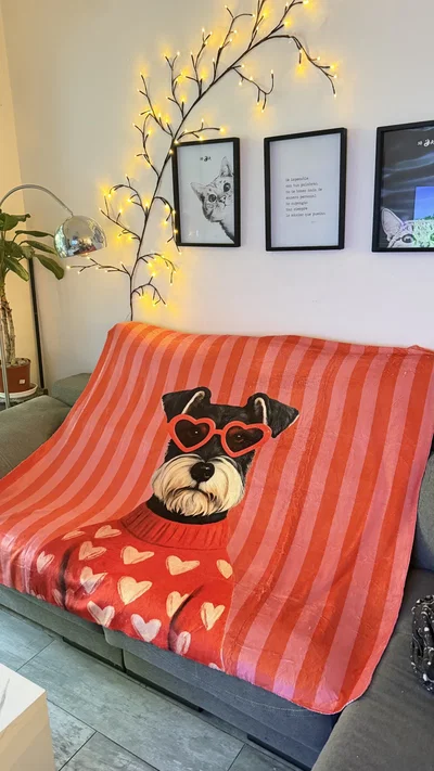 MANTA POLAR SOFT PERRITO GAFAS