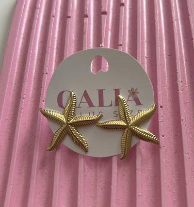 AROS ESTRELLA DE MAR