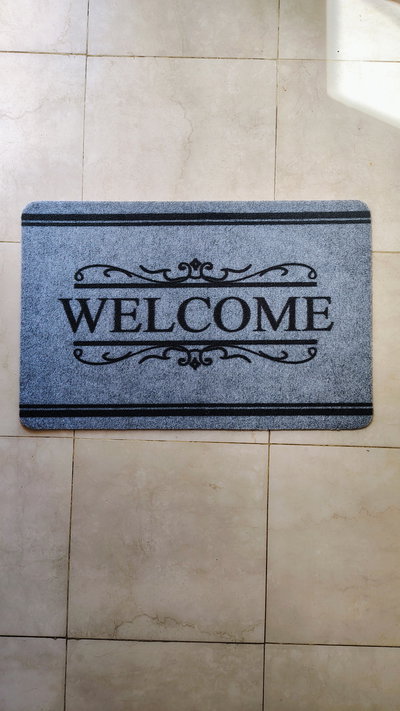 Alfombra de entrada gris 