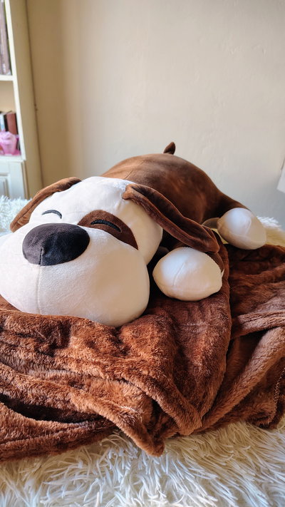 Peluche con manta - Perro